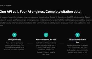 AI Rank Tracking Tool