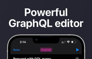 Powerful GraphQL editor