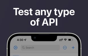 Test any type of API 