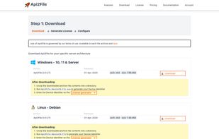 Api2File screenshot 2