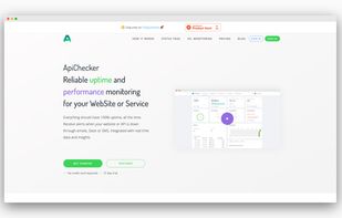 ApiChecker screenshot 2