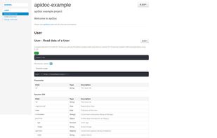 APIdoc screenshot 1