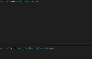 apimock-rs (API Mock) screenshot 1