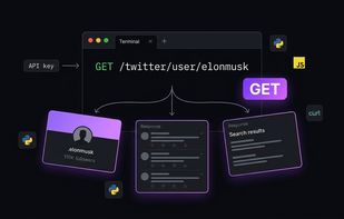 ApiTwitter screenshot 1