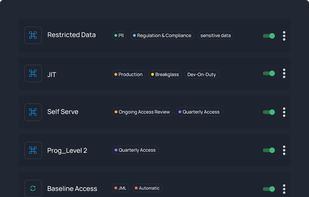 Cloud Identity Governance

Manages cloud access across your ecosystem with granular controls and continuous compliance.