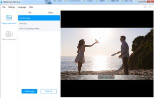 Apowersoft Watermark Remover screenshot 2
