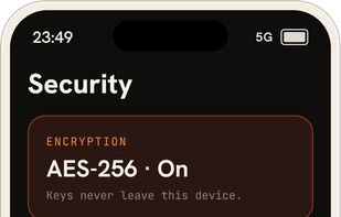 Vault security settings: AES-256 encryption, device-only storage, and intruder capture.