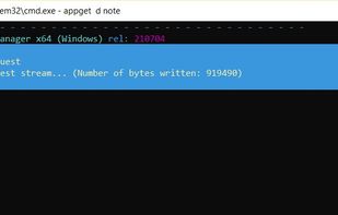 Windows Download File Manager screenshot 2