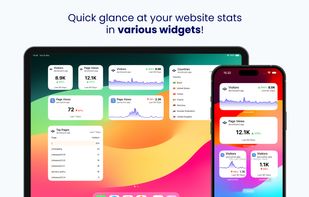 Quick glance at your website stats in various widgets!