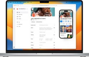 Apple Business Connect screenshot 2