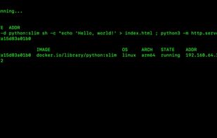 Apple Container screenshot 1