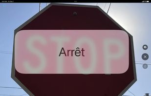 Apple Translate screenshot 2