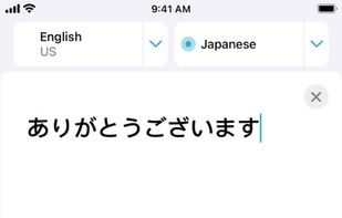 Apple Translate screenshot 3