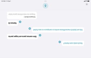 Apple Translate screenshot 3