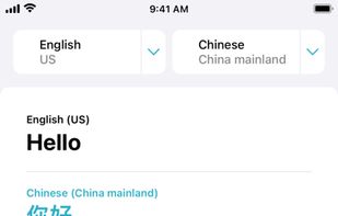 Apple Translate screenshot 2