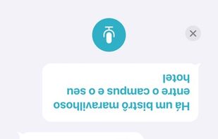 Apple Translate screenshot 1