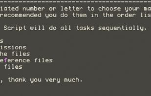 screen shot of AppleJack running in single user mode