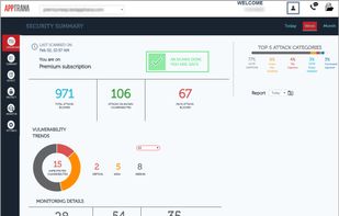 This page provides an insight of a websites health status as per the scan.