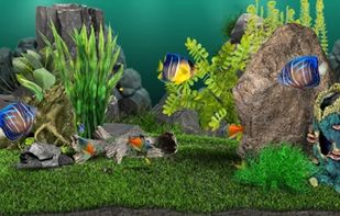 AquaLife 3D screenshot 3