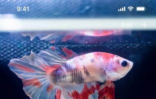 Aquarium Journal screenshot 2