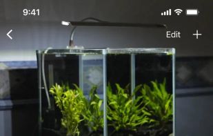 Aquarium Journal screenshot 1