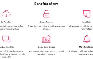 Why you should use Ara