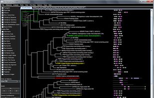 Archaeopteryx screenshot 1
