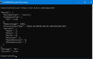 ASF cli in the Windows Console 