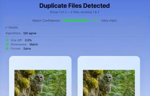 Duplicate Detection's review window comparing two matched files side by side, with a 100% match confidence score and the reasons for the match broken out — identical size, dimensions and format. Each file has its own "Mark for deletion" button: nothing is removed while you browse, you mark what to delete and commit at the end.