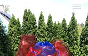 Reality Browser screen-cap - Animated translucent heart.