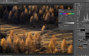 A view of the panel in action