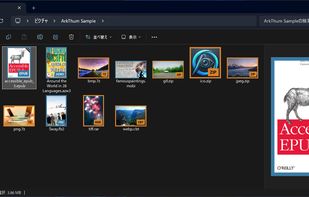 Archive and ebook files with the identification overlay enabled — format-coloured border and corner label — in Windows Explorer.