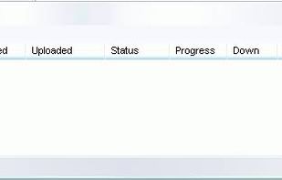 Arctic Torrent screenshot 1