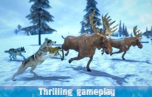 Arctic Wolf Sim 3D screenshot 2