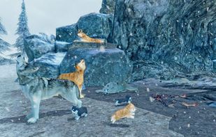 Arctic Wolf Sim 3D screenshot 1