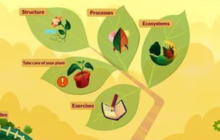 Arloon Plants screenshot 1