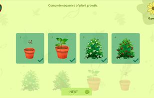 Arloon Plants screenshot 3