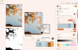ArtDeck’s Palette tool extracting main colors from an image besides a Notan study and a Shape Grouping study.