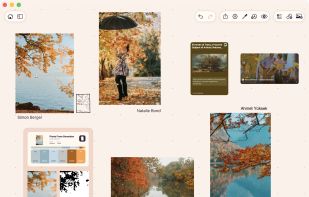 An ArtDeck board combining images, video, web link cards, and saved palette and color-and-value studies on the canvas.