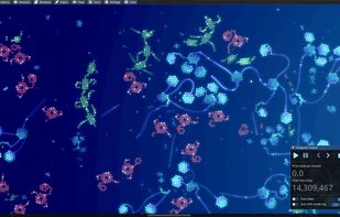 Close-up of different types of organisms so that their cell networks can be seen
