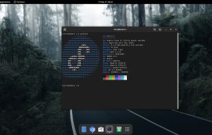 Asahi Linux screenshot 1