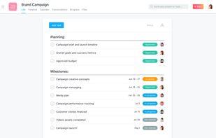 Asana screenshot 2
