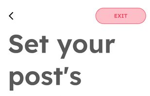 Setting post audience. Light mode.