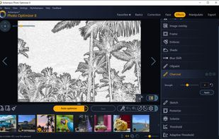 Ashampoo Photo Optimizer screenshot 2
