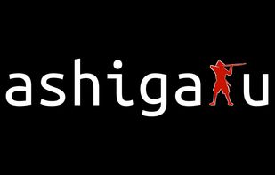 Ashigaru screenshot 1