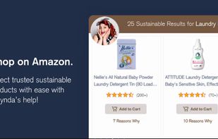 askBelynda screenshot 2