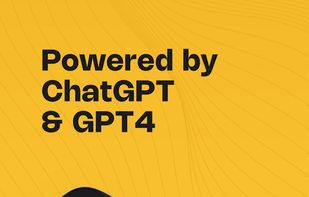 AskYourPDF screenshot 2