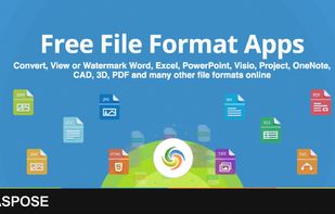 Aspose.Total Conversion screenshot 1