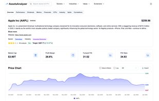 AssetsAnalyzer screenshot 2