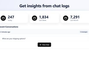 Chat logs show what visitors ask, day by day.